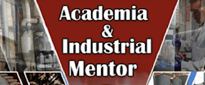 Academia and Industrial Mentor